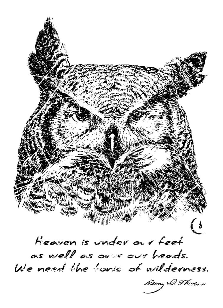 LOVE NATURE OWL T-SHIRT